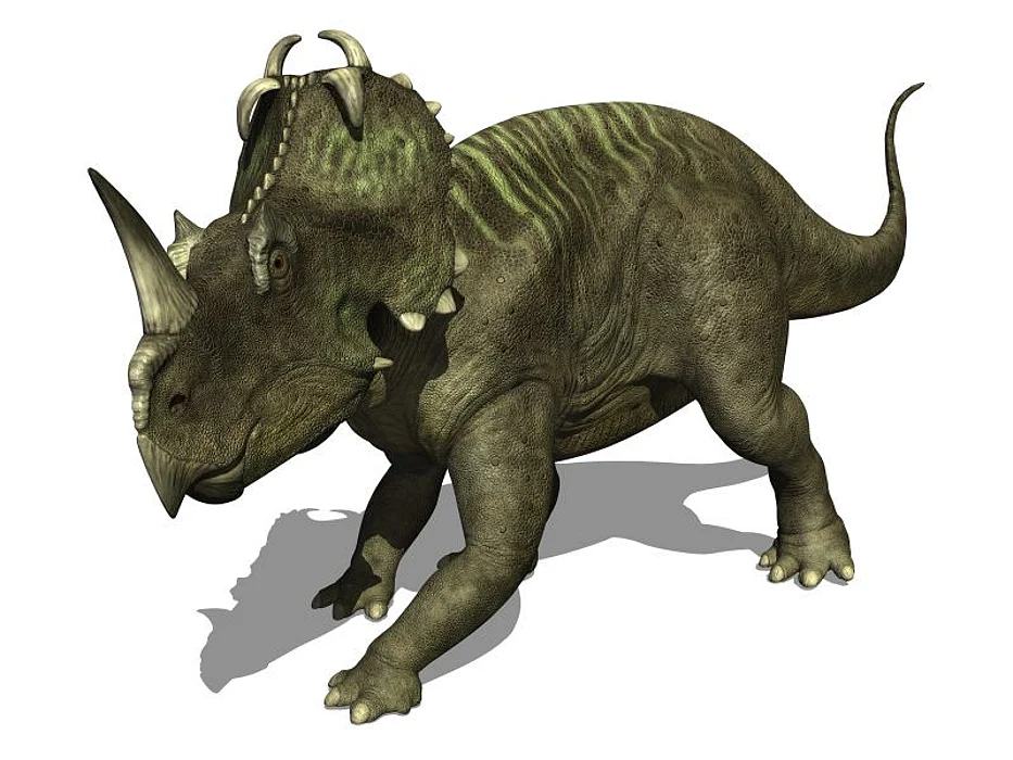 Centrosaurus