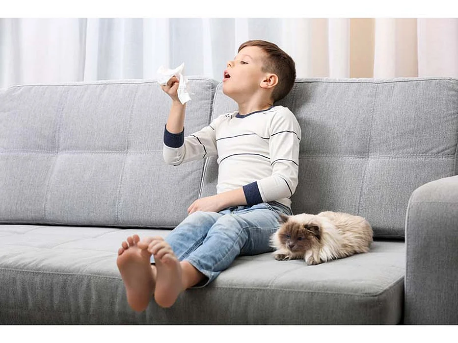Preventing Asthma Attacks