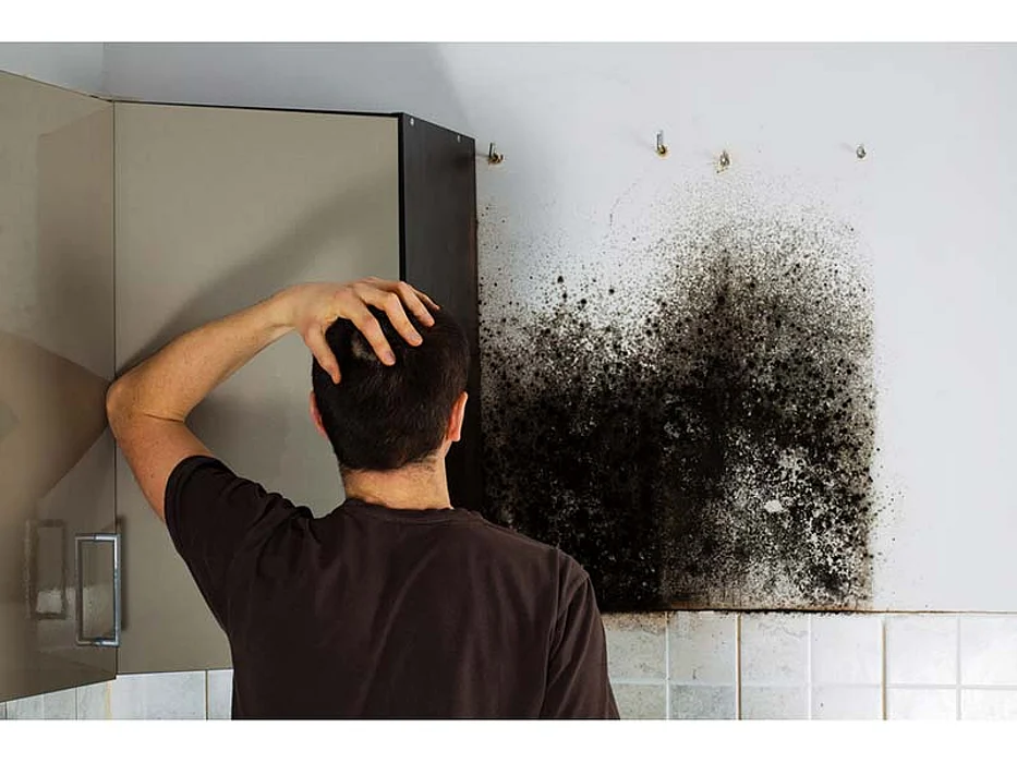 Mold Allergies and Asthma