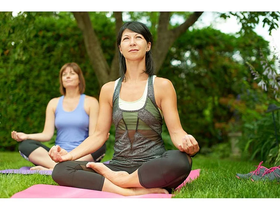 Natural Alternatives to Hormone Replacement Therapy