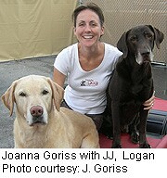 Donor Dogs Give the Gift of Life