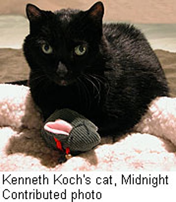 Hospice Care Eases the End for Loyal Pets