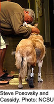 Artificial Legs Now a Reality for Pets - Consumer Health News | HealthDay