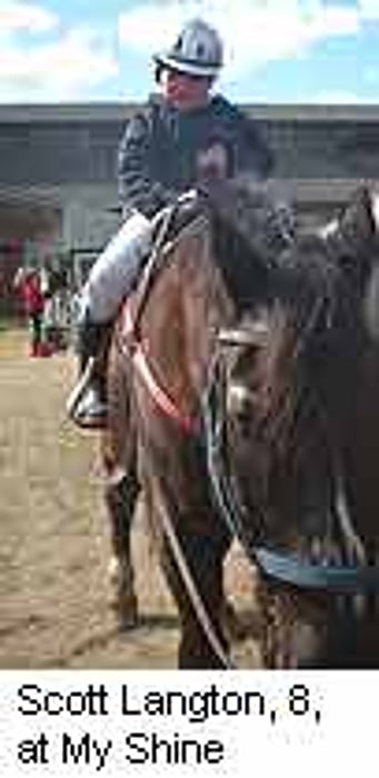 Gentle Horses Help Rein in Autism in Kids