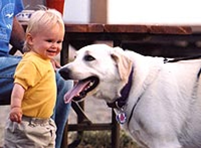 can newborn babies be around dogs