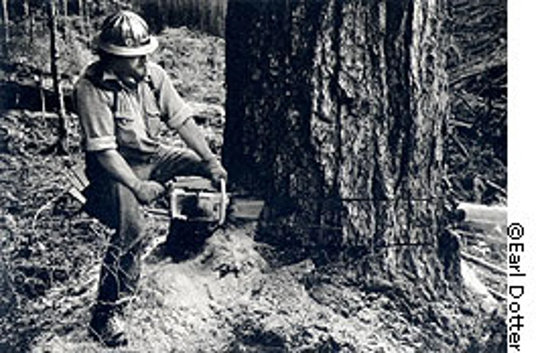 Loggers