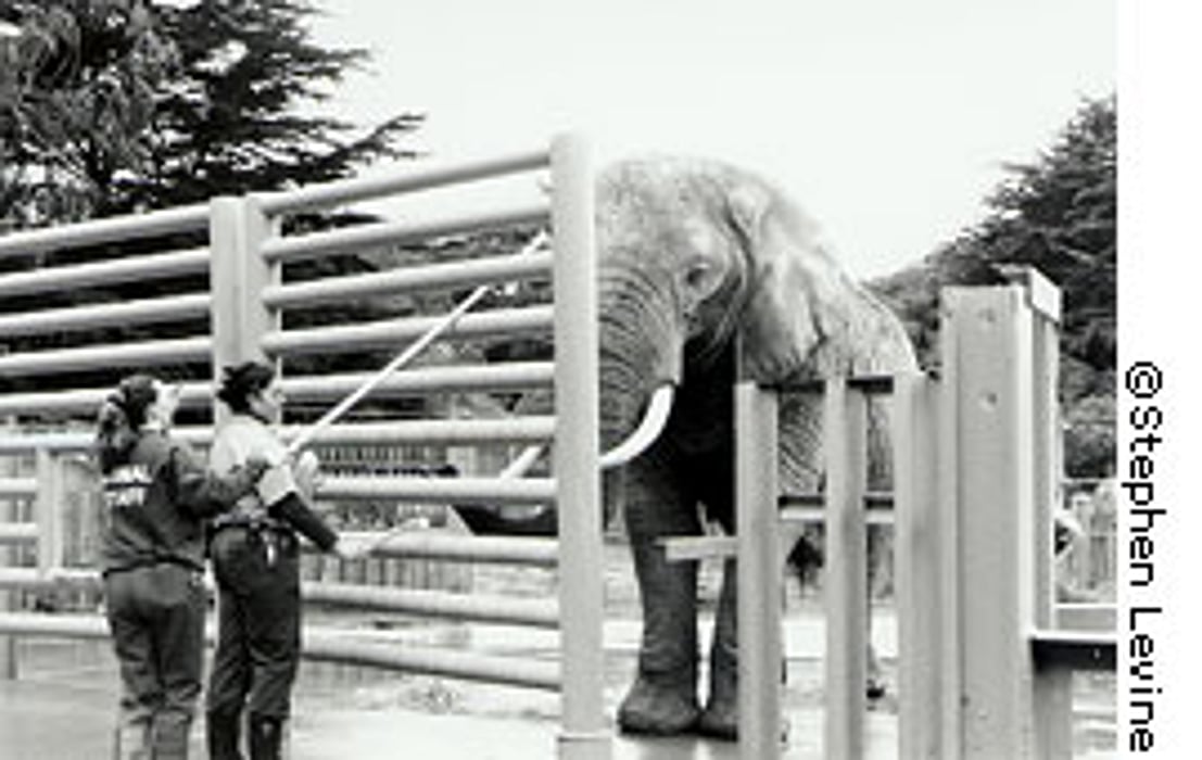 Zookeepers - Consumer Health News | HealthDay Zookeepers - Consumer Health News | HealthDay