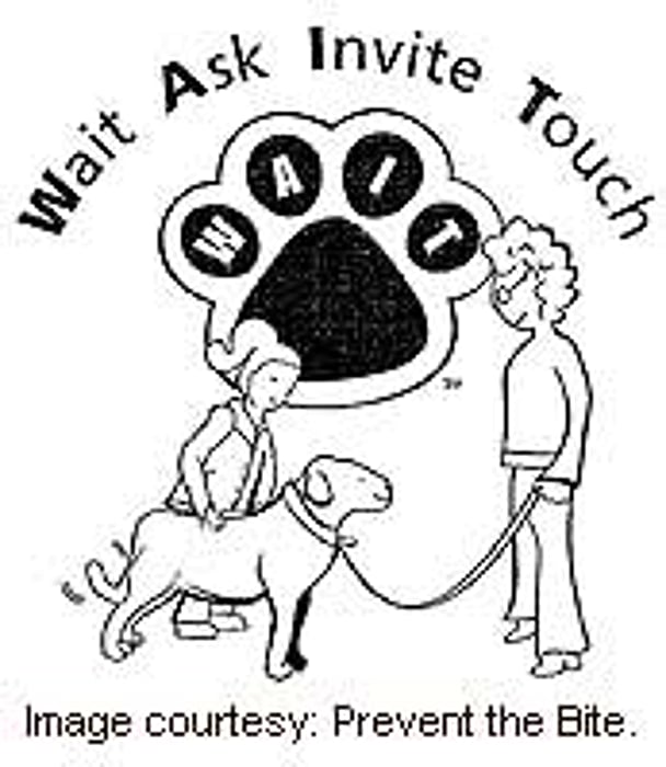 Rise in Dog Bites Has Experts Concerned