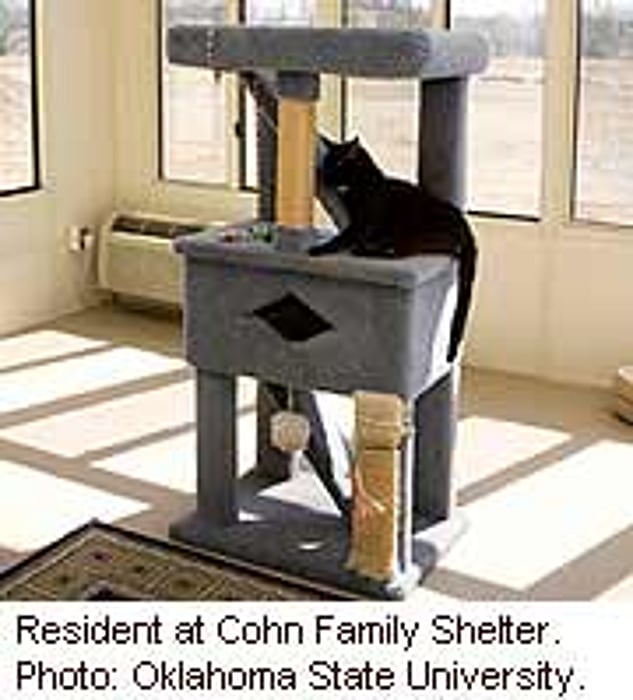 When Pets Outlive Owners, 'Retirement Homes' Offer Refuge