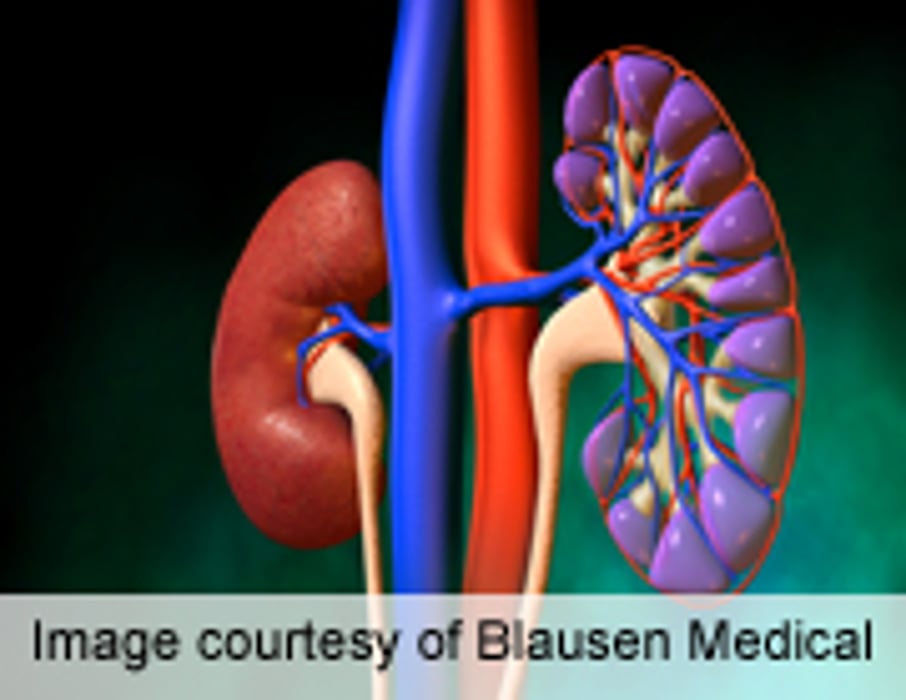 Men at Greater Lifetime Risk of End-Stage Renal Disease