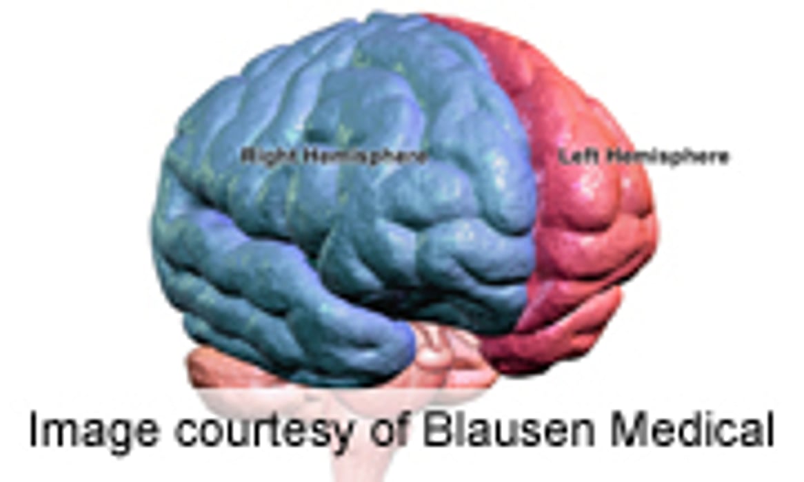 Surgery Effective for Tough-to-Treat Epilepsy