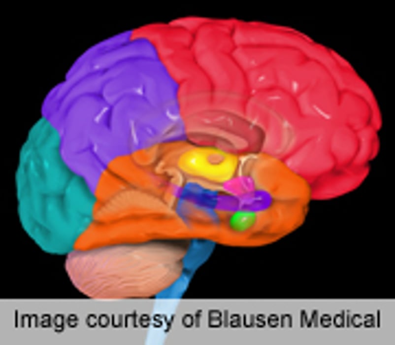 Study Casts Doubts on Brain Regions for Self-Awareness