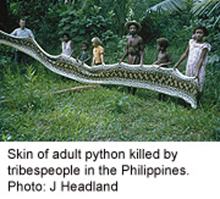 Snakes Make Your Skin Crawl? Study Suggests Why