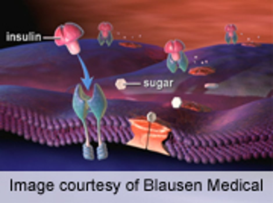 Standards for Diabetes Education, Support Updated