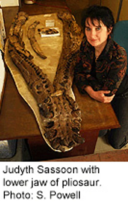Dinosaurs May Have Suffered From Arthritis