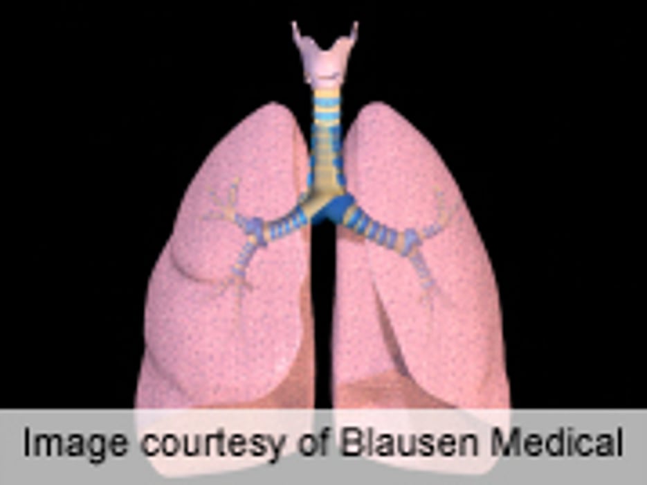 ATS: Vitamin C Improves Lung Function in Offspring of Smokers