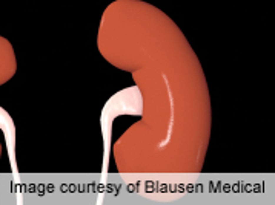 NKF: Drinking Wine May Protect Against Kidney Disease