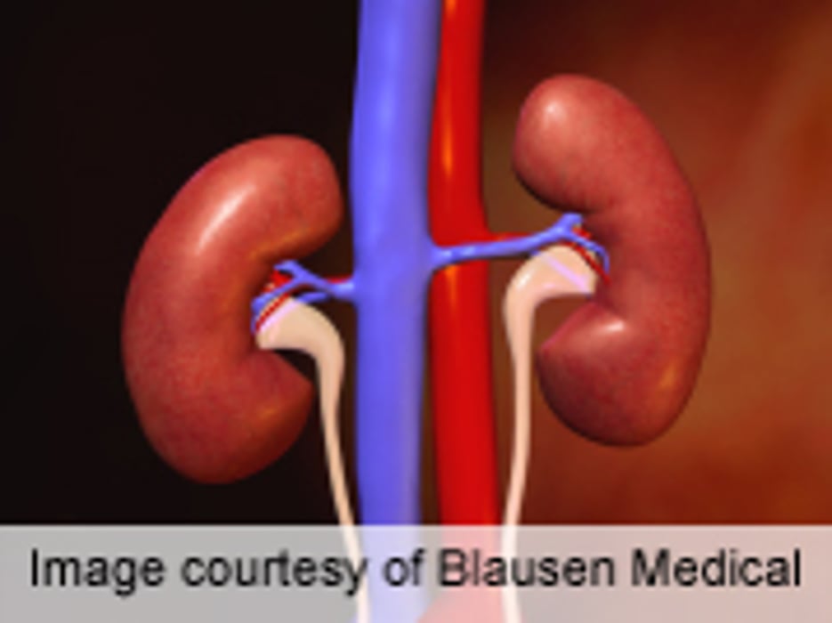 More Untreated Kidney Failure Seen in Older Adults
