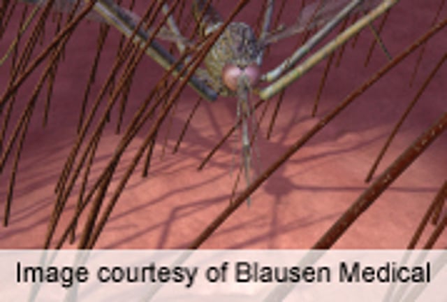 Dengue Fever a Major Cost Burden in Puerto Rico Consumer Health News