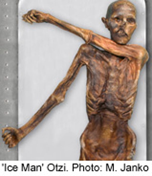 'Iceman' Mummy Yields Oldest Human Blood Cells