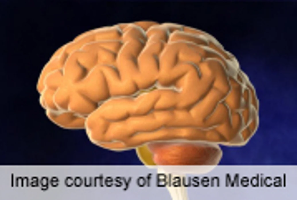 Cognitive Benefit of Omega-3s in Older Adults Questioned