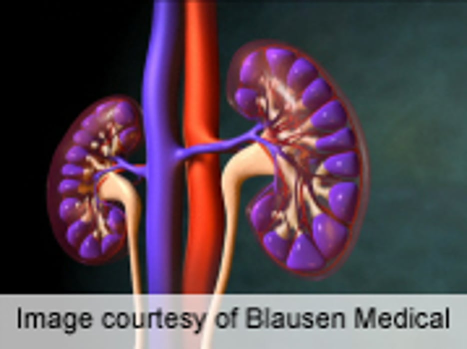High Rates of Untreated Kidney Failure Seen in Elderly