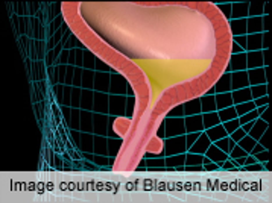 AUGS/IUGA: Bariatric Surgery Improves Urinary Incontinence