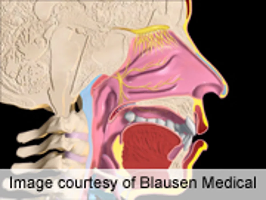 Racial Disparity in Head and Neck Cancer Outcomes