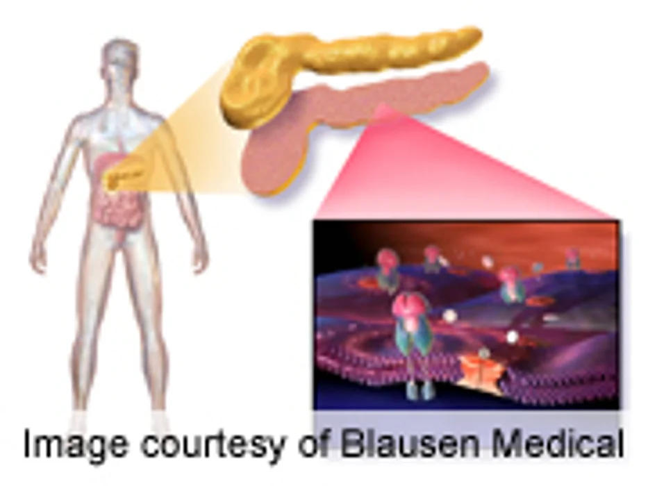 Imeglimin Beneficial As Add-On to Metformin in T2DM