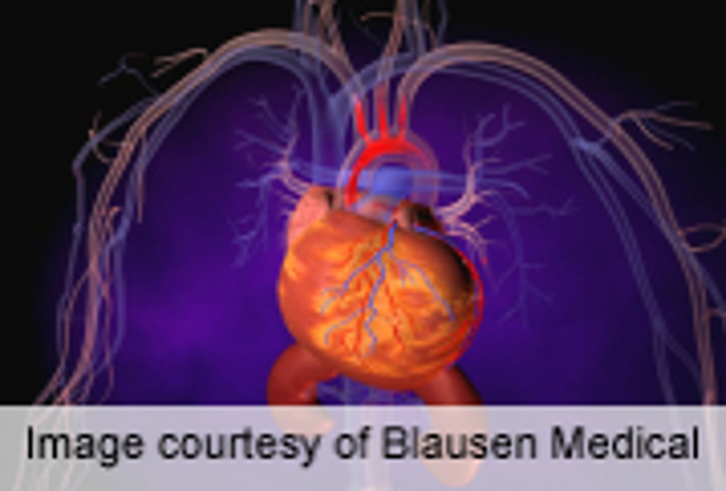 Gene Therapy May Activate Stem Cells in Heart Failure Patients