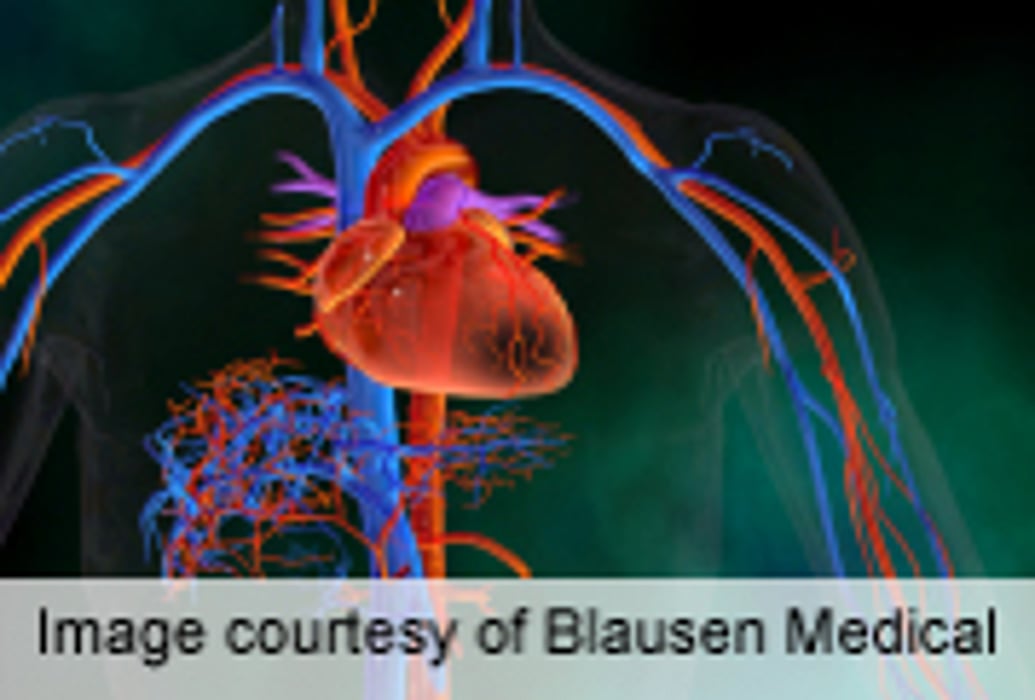 Sexual Counseling Should Be Given to CVD Patients Partners