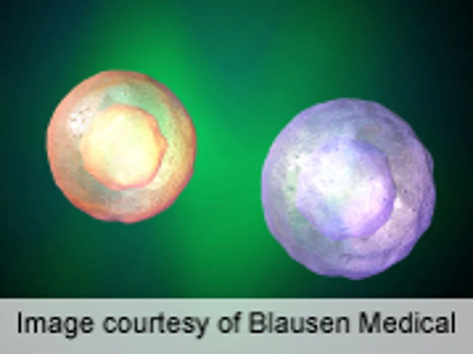 Bortezomib Beneficial in Graft-Versus-Host Disease Prophylaxis