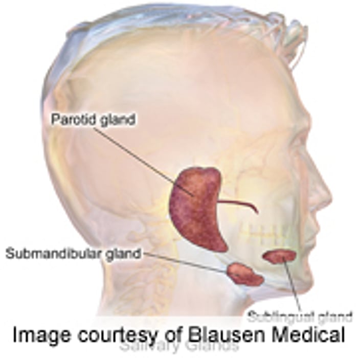 Prognostic Factors Identified in Mucoepidermoid Carcinoma