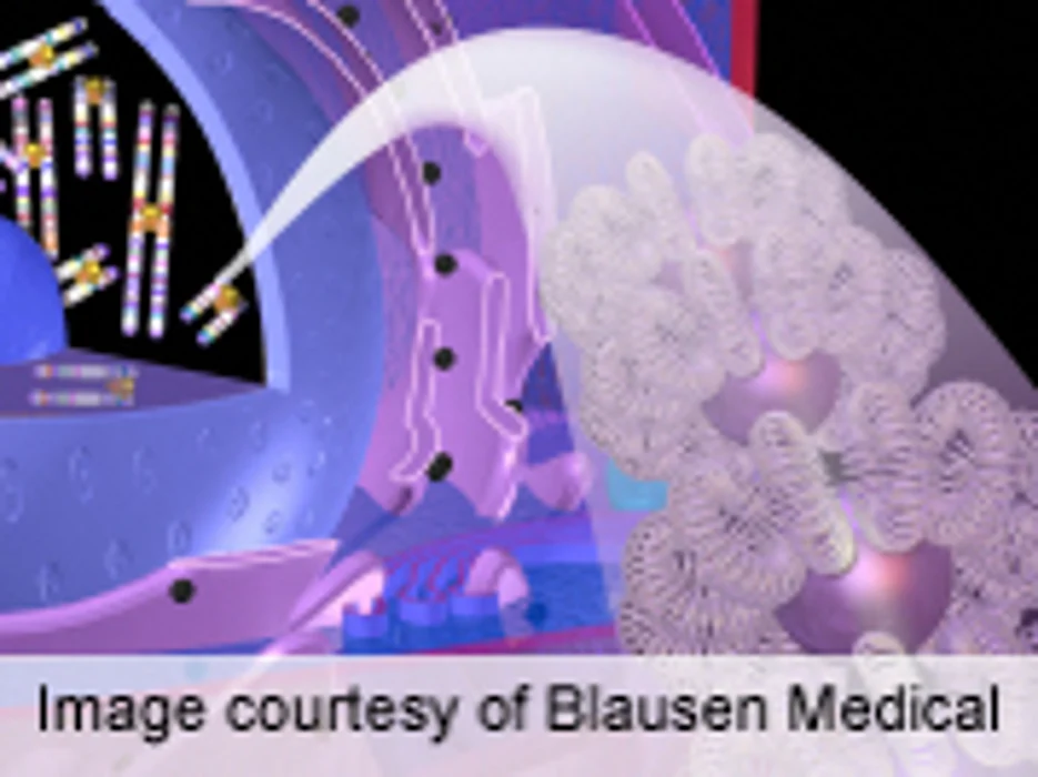 Ten New Susceptibility Loci Identified for Type 2 Diabetes
