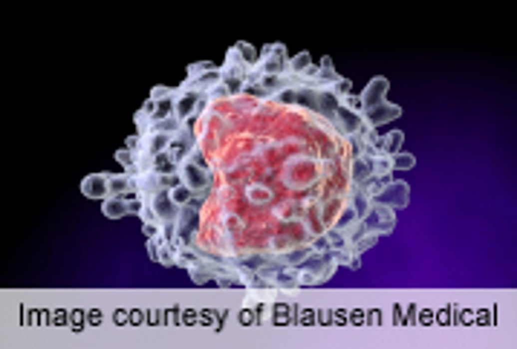 BMI and Lean Body Mass Decline After Allogeneic HSCT