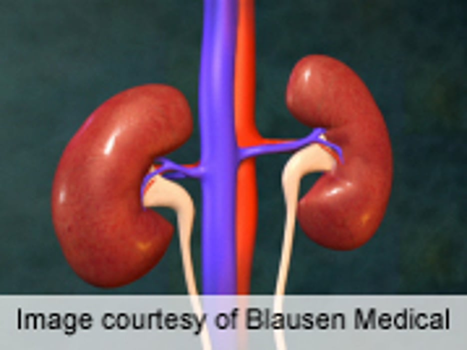 Novel Liver X Receptor Agonist Benefits Diabetic Nephropathy