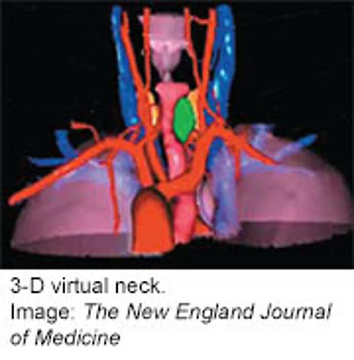 3-D Imaging Might Make Some Surgeries Safer