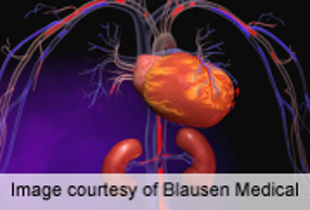 Empiric Potassium Cuts Death in Loop Diuretic Users