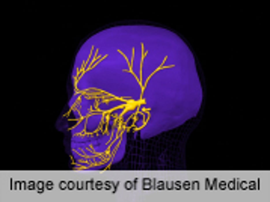 Some Face Transplant Patients May Regain Sensory, Motor Function