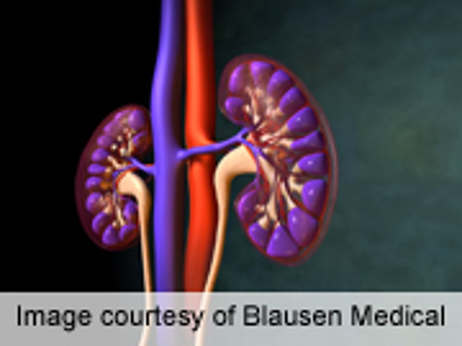 ASN: Many Dialysis Patients Ill-Prepared for Emergencies