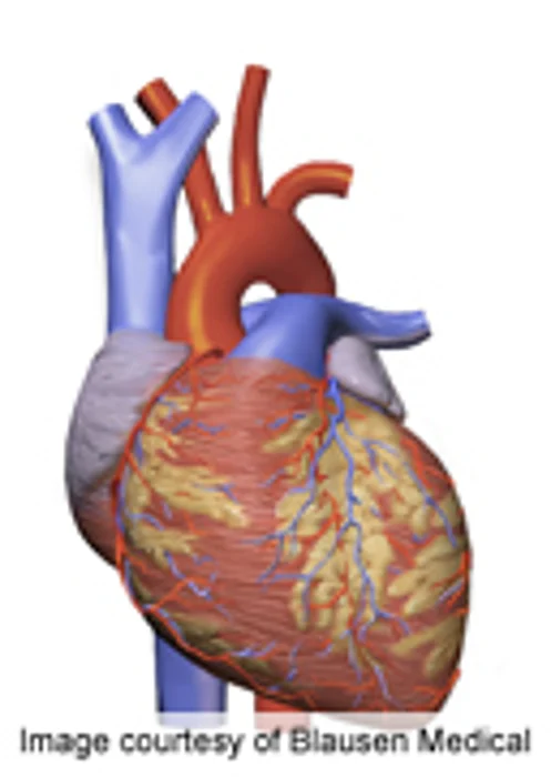 Review: AHA Should Include Depression As Risk Factor in ACS