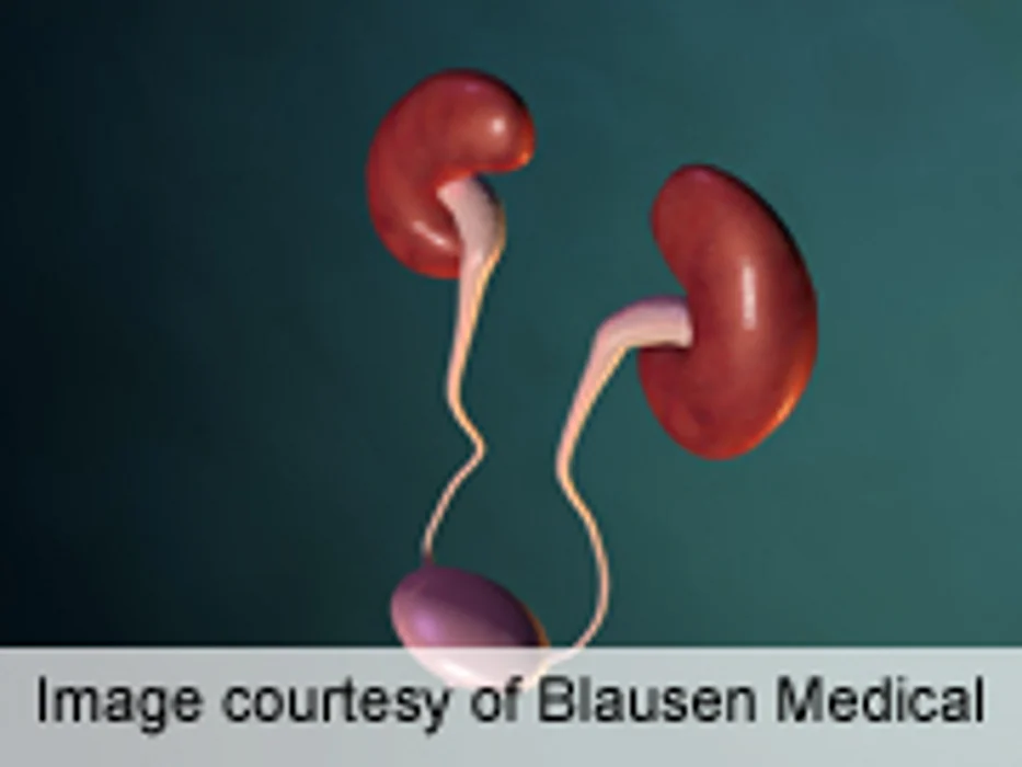 Anticoagulation Use in Urology Patients Requires Pre-Planning