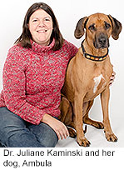 Doggone It! Your Dog Has You Pegged