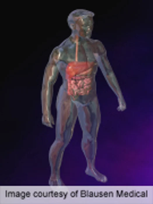Magnetic Device Beneficial for Gastroesophageal Reflux