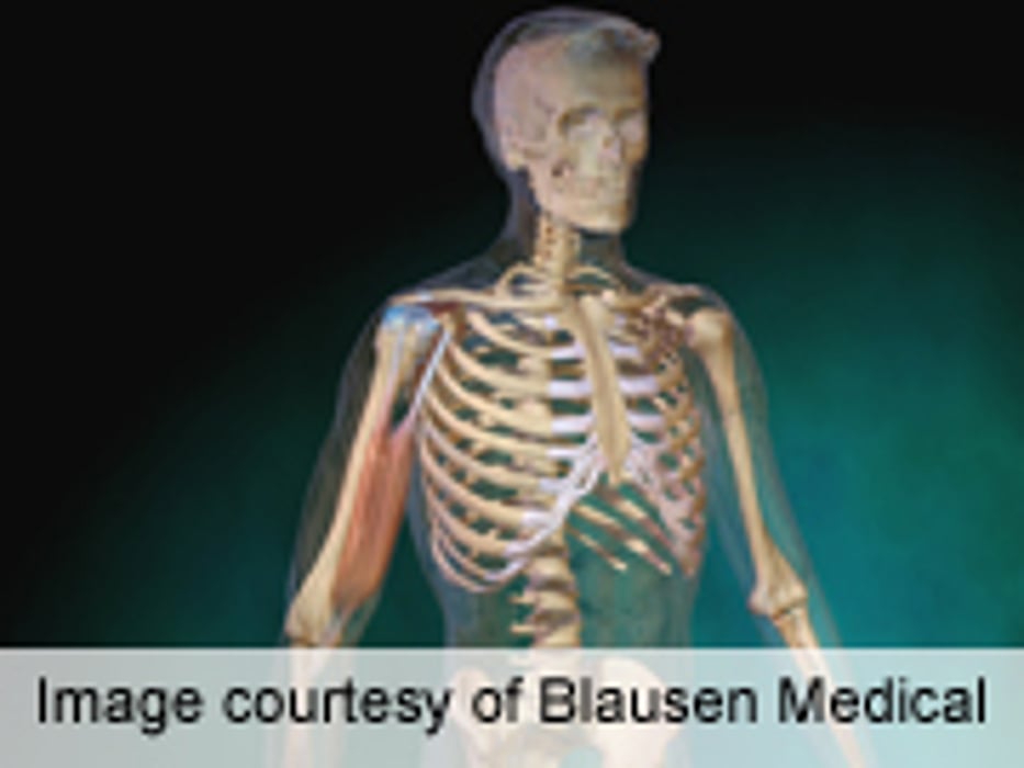 Factors ID'd That Influence Lack of Orthopedic Follow-Up