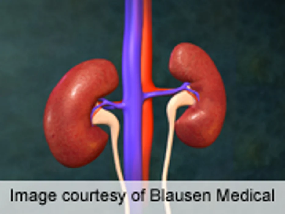 Depression May Worsen Kidney Disease in Diabetes Patients