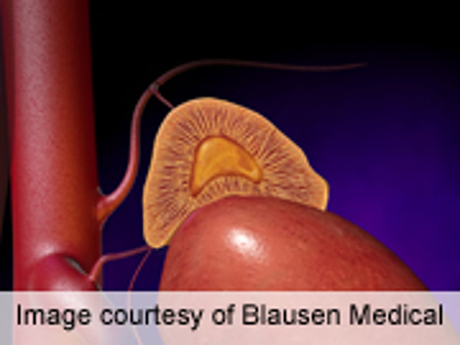 ISICEM: Cortisol Clearance Slow in Critically Ill Patients
