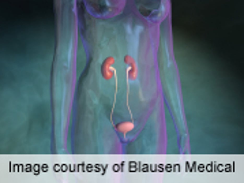 NKF: Proteinuria Often Not Properly Managed