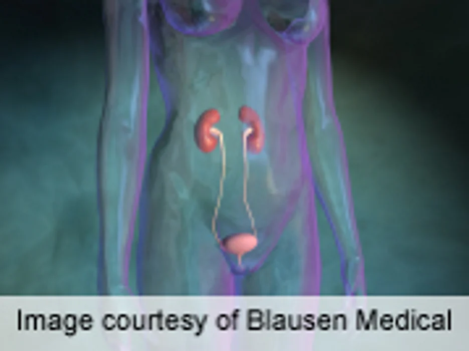 NKF: Proteinuria Often Not Properly Managed