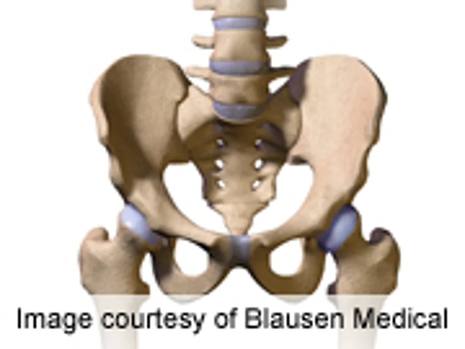 PAS: Magnesium, Not Calcium, Linked to Bone Mineral Status